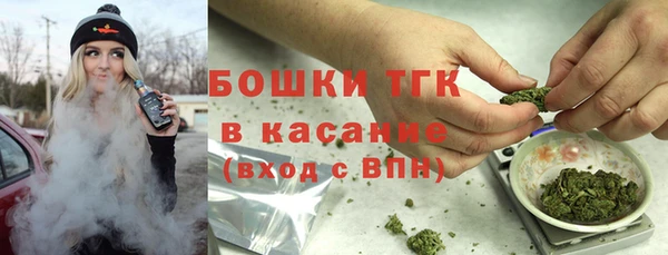 шишки Михайловск