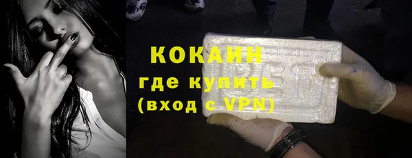 шишки Михайловск
