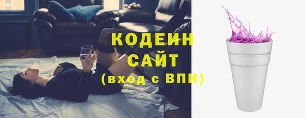 шишки Михайловск
