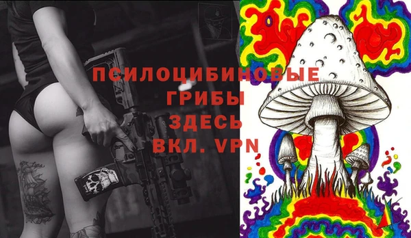 крисы Михайлов